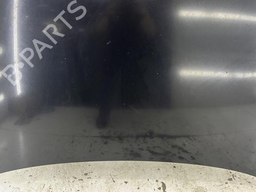 Hood VW PHAETON (3D1, 3D2, 3D3, 3D4, 3D6, 3D7, 3D8, 3D9) 3.0 V6 TDI 4motion | BP29455291C1 