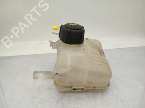 Expansion tank RENAULT MEGANE III Grandtour (KZ0/1) 1.5 dCi (KZ0C, KZ1A) | BP23719361C120 