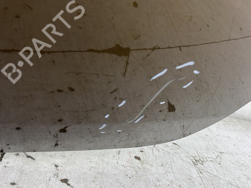 Tailgate DACIA SANDERO 1.5 dCi | BP25478197C6 - Image 3