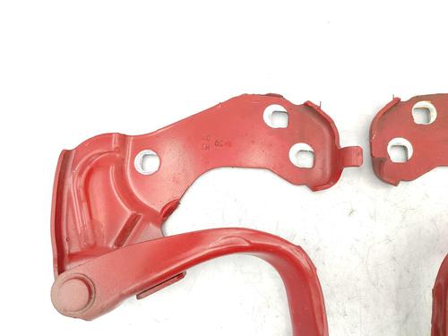 hingedoor-check-strap-fiat-500-c-312_-2009-23730089 main image