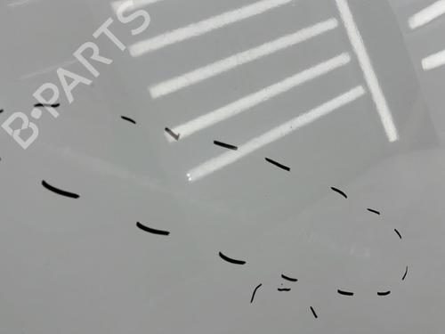 Hood RENAULT RAPID Box Body/MPV (F40_, G40_) 1.6 D (F404) | BP23758244C1