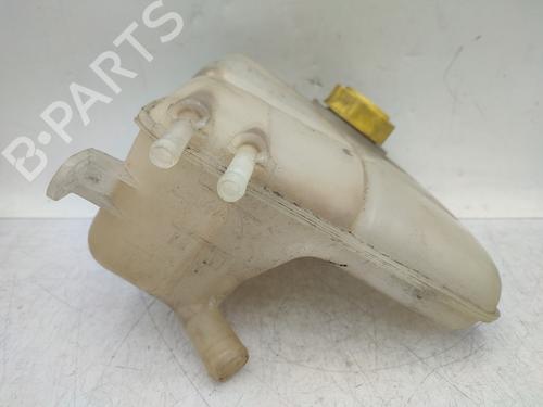 Expansion tank FORD TRANSIT CONNECT (P65_, P70_, P80_) 1.8 Di | BP29634705C120 