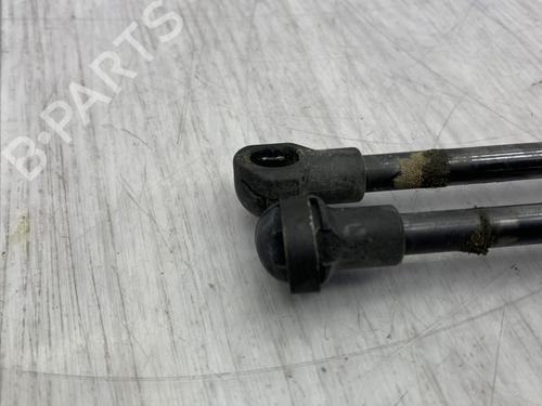 tailgate-lift-support-fiat-500-312_-2007-23703450 main image