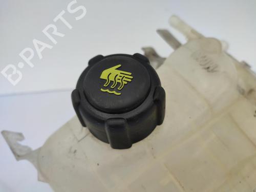 Used Expansion tank Expansion tank RENAULT MEGANE III Hatchback (BZ0/1_, B3_) 1.5 dCi (106 hp) 23685727 23685727