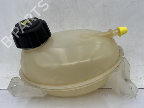 Used Expansion tank DACIA SANDERO II TCe 90 (B8M1, B8MA, B8AC) (90 hp) 23758582