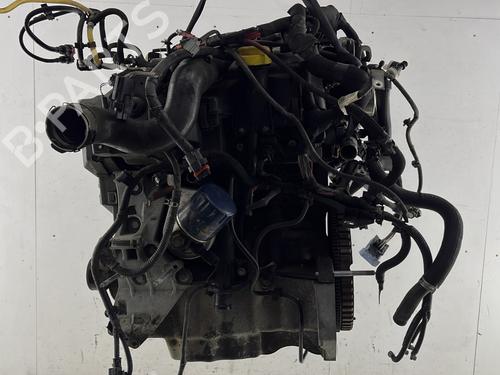 Engine RENAULT KANGOO Express (FW0/1_)  | BP33876257M1  - Image 7