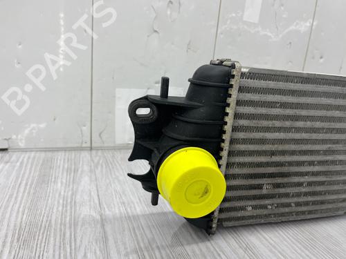 Intercooler RENAULT TRAFIC II Van (FL) 1.9 dCi 80 (FL0B) | BP37717369M30 - Image 4