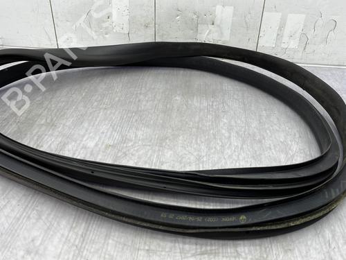 rubber-door-seal-renault-scenic-iv-j9_-2016-2017-2018-2019-2020-2021-2022-26457312 main image
