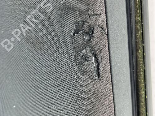 Right front door RENAULT MEGANE II Coupé-Cabriolet (EM0/1_) 1.9 dCi | BP23681877C3 