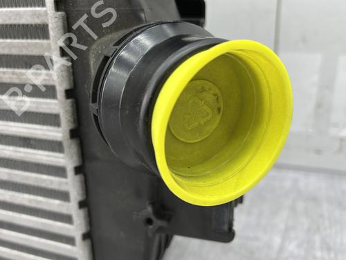 Intercooler RENAULT CLIO V (B7_) 1.0 TCe 90 (B7MT) | BP25653266M30  - Image 9