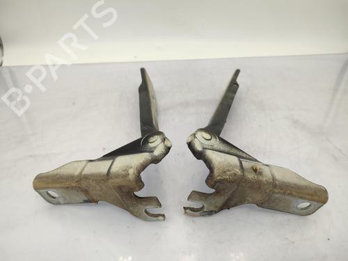 Hinge/Door check strap VW POLO V (6R1, 6C1) 1.6 TDI | BP23742095C146 