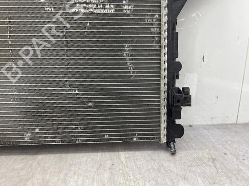 Water radiator RENAULT MASTER III Van (FV) 2.3 dCi 125 FWD (FV0C, FV0D, FV0G, FV0H, FV0J, FV0K,... | BP36248671M31  - Image 7
