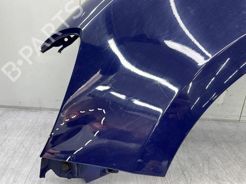 Left front fenders RENAULT CLIO III (BR0/1, CR0/1) 1.4 16V | BP23684285C41 
