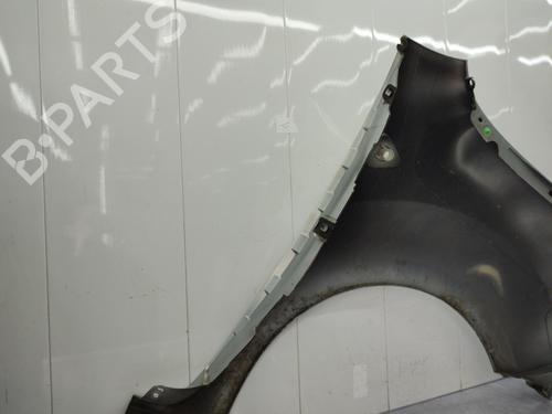Left front fenders RENAULT KANGOO / GRAND KANGOO II (KW0/1_) 1.5 dCi 90 (KW05, KW08, KW0G, KW11) | BP23721199C41 
