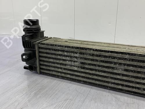Intercooler RENAULT MEGANE III Hatchback (BZ0/1_, B3_) 1.6 dCi (BZ00, BZ12, BZ13) | BP23702388M30 