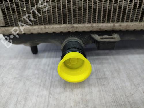 Water radiator CITROËN C3 II (SC_) 1.4 HDi 70 (SC8HZC, SC8HR0, SC8HP4) | BP23749642M31  - Image 8