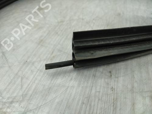 rubber-door-seal-dacia-spring-2020-24304157 main image