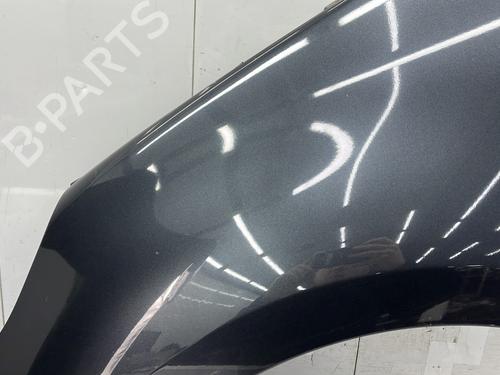 Left front fenders RENAULT SCÉNIC III (JZ0/1_) 1.9 dCi (JZ0J, JZ1J, JZ1K, JZ1S) | BP25279688C41 