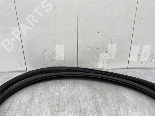 rubber-door-seal-opel-zafira-tourer-c-p12-2011-24809701 main image
