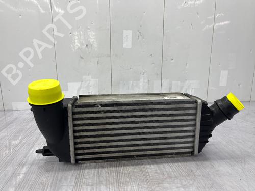 Intercooler CITROËN C8 (EA_, EB_) 2.0 HDi 135 | BP38627113M30 - Image 6