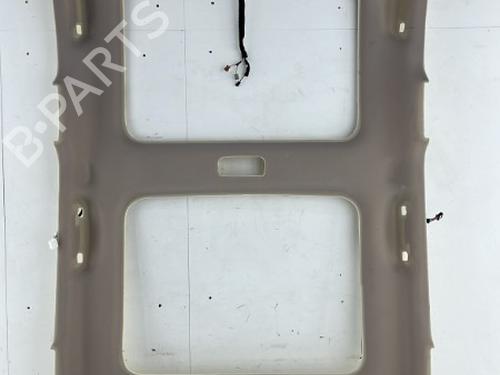 Used Interior roof RENAULT SCÉNIC III (JZ0/1_) 1.6 dCi (JZ00, JZ12) (130 hp) 23750686