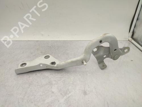 Hinge/Door check strap RENAULT SCÉNIC IV (J9_) 1.6 dCi 130 | BP26393123C146 