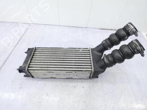 intercooler-peugeot-partner-tepee-2008-23673268 main image