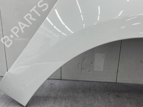 Right front fenders RENAULT SCÉNIC III (JZ0/1_) 1.5 dCi | BP23756533C42 