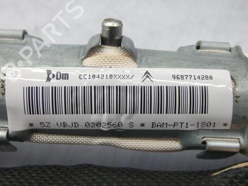 left-curtain-airbag-citroen-c5-iii-rd_-2008-2009-2010-2011-2012-2013-2014-2015-2016-2017-23695022 main image