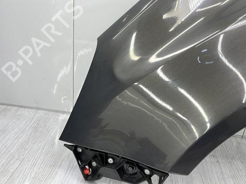 Left front fenders OPEL CORSA D (S07) 1.3 CDTI (L08, L68) | BP28325700C41 