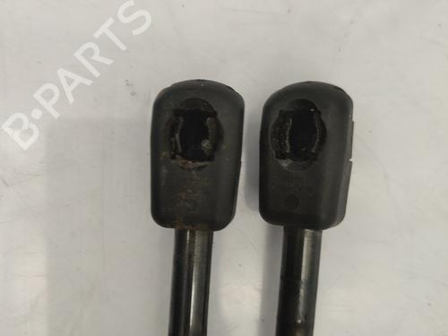 tailgate-lift-support-dacia-duster-hs_-2010-2011-2012-2013-2014-2015-2016-2017-2018-25031193 main image