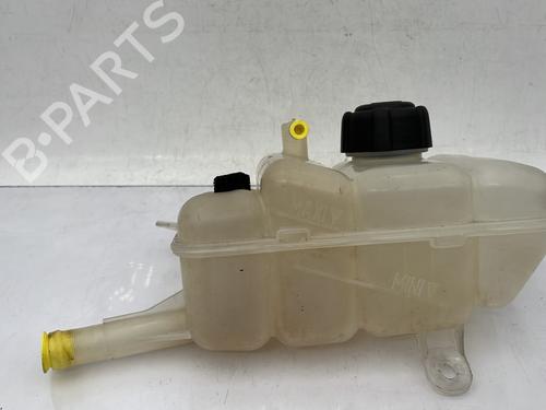 Used Expansion tank RENAULT MEGANE IV Hatchback (B9A/M/N_) 1.5 dCi 110 (B9A3) (110 hp) 24974041