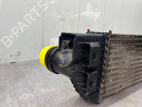 Intercooler OPEL MOVANO B Van (X62) 2.3 CDTI FWD (FV) | BP37189530M30 - Image 9