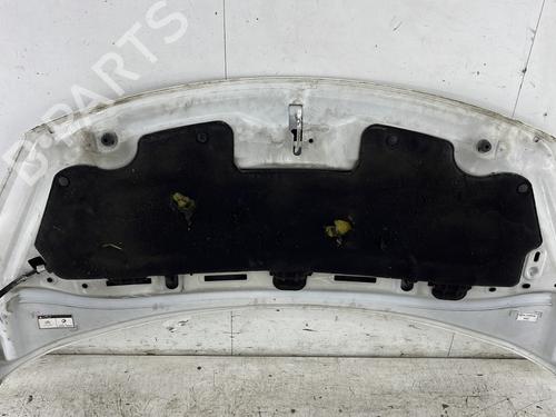 Hood CITROËN C3 II (SC_) 1.4 HDi 70 (SC8HZC, SC8HR0, SC8HP4) | BP29243259C1 