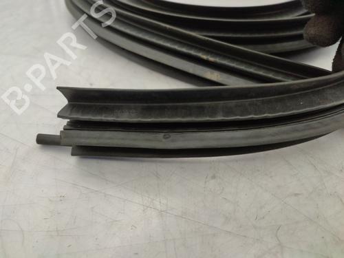 Rubber door seal DACIA SPRING EV (B6M1) | BP24304156C142