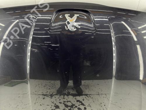 hood-peugeot-508-sw-i-8e_-2010-2011-2012-2013-2014-2015-2016-2017-2018-32341576 main image