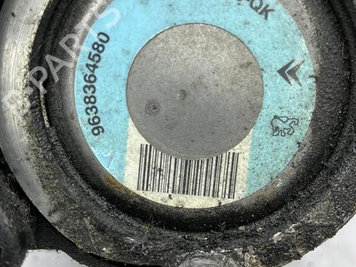 Used Steering pump Steering pump CITROËN C3 I (FC_, FN_) 1.4 16V HDi (90 hp) 23674126 23674126