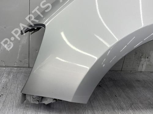 Left front fenders RENAULT CLIO III (BR0/1, CR0/1) 1.5 dCi (BR17, CR17) | BP29634701C41