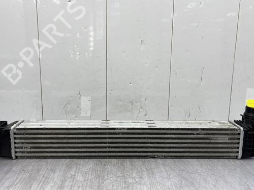 Used Intercooler RENAULT SCÉNIC III (JZ0/1_) 1.5 dCi (110 hp) 23682044