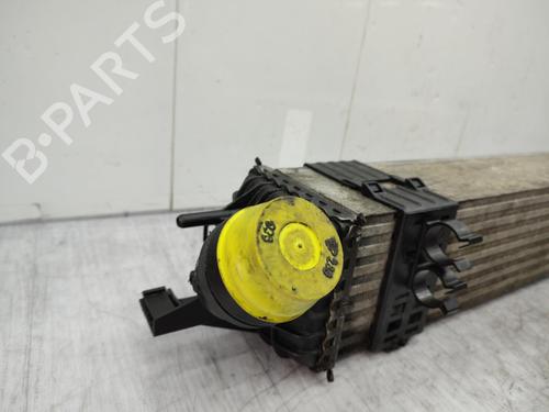 Intercooler RENAULT LATITUDE (L70_) 2.0 dCi 150 (L70H) | BP23712679M30  - Image 7