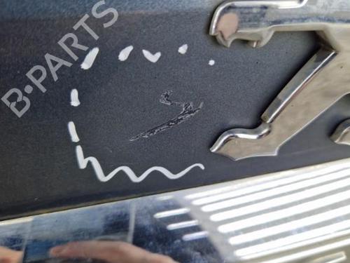 Used Tailgate Tailgate 23742980 23742980
