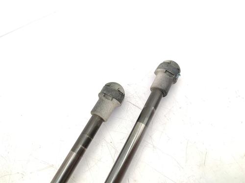 Tailgate lift support NISSAN QASHQAI / QASHQAI +2 I (J10, NJ10, JJ10E) 1.5 dCi | BP23731293C138 
