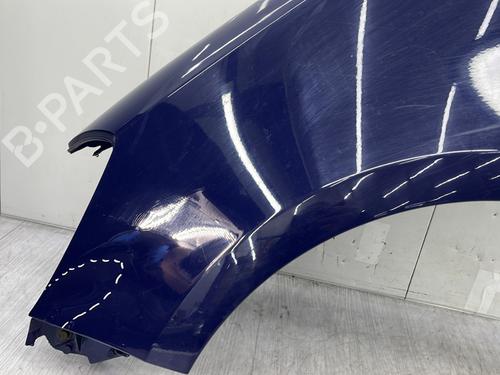 Left front fenders RENAULT CLIO III (BR0/1, CR0/1) 1.4 16V | BP23684285C41 
