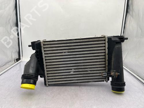 Used Intercooler Intercooler RENAULT SCÉNIC IV (J9_) 1.6 dCi 130 (130 hp) 35890477 35890477