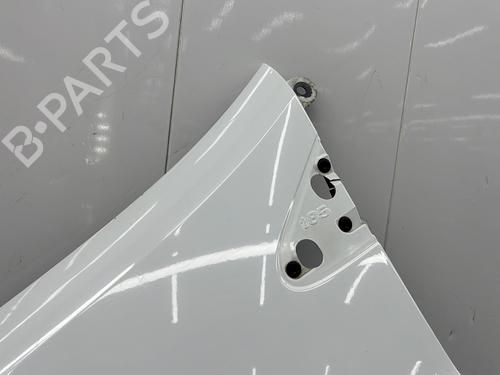 Left front fenders RENAULT CLIO III (BR0/1, CR0/1) 1.5 dCi (C/BR0G, C/BR1G) | BP25006487C41 