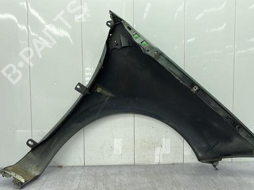 Left front fenders RENAULT MEGANE II (BM0/1_, CM0/1_) 1.6 16V (BM0C, CM0C) | BP25006484C41 