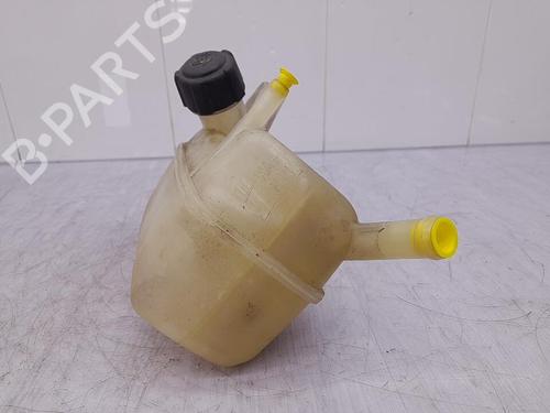 Expansion tank RENAULT MEGANE II (BM0/1_, CM0/1_) 1.9 dCi (BM0G, CM0G) | BP23711480C120 