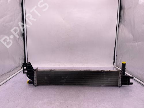 Water radiator DACIA SANDERO II 1.5 Blue dCi 95 (B8JL) | BP35890485M31 - Image 3