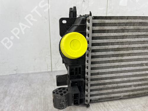 Used Intercooler Intercooler OPEL MERIVA B MPV (S10) 1.7 CDTI (75) (110 hp) 35890139 35890139
