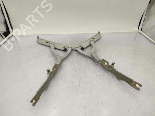 Hinge/Door check strap BMW 3 (E46) 320 d | BP23731401C146 